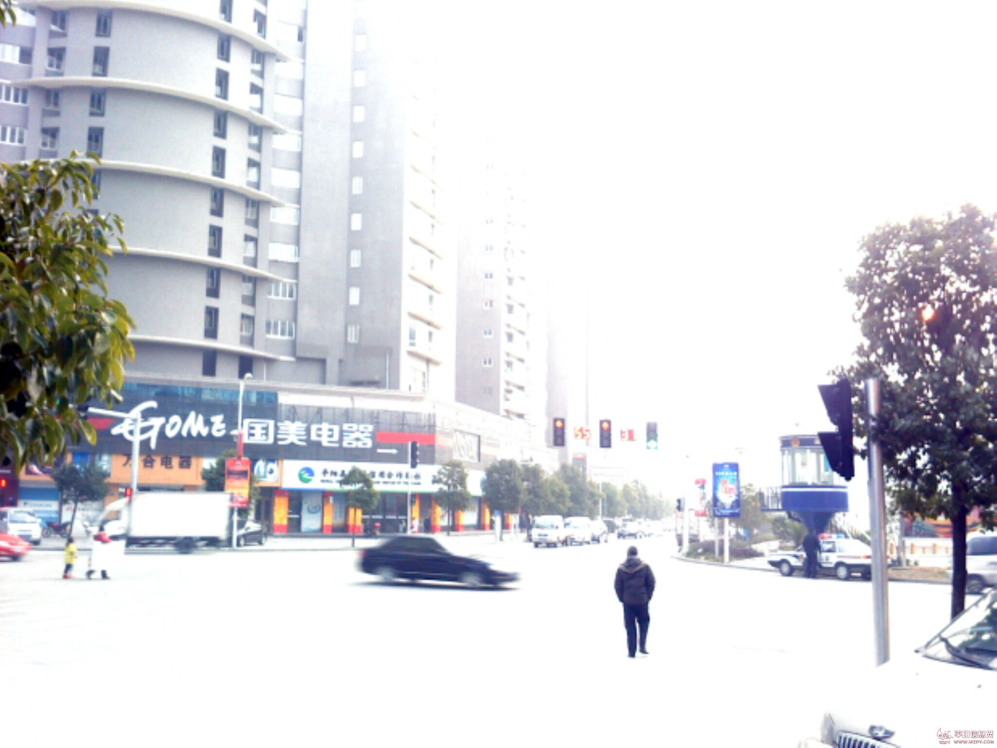 IMG0470A.jpg