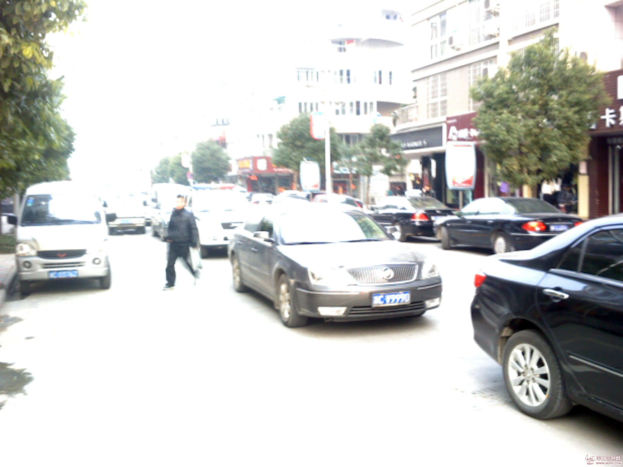 IMG0471A.jpg