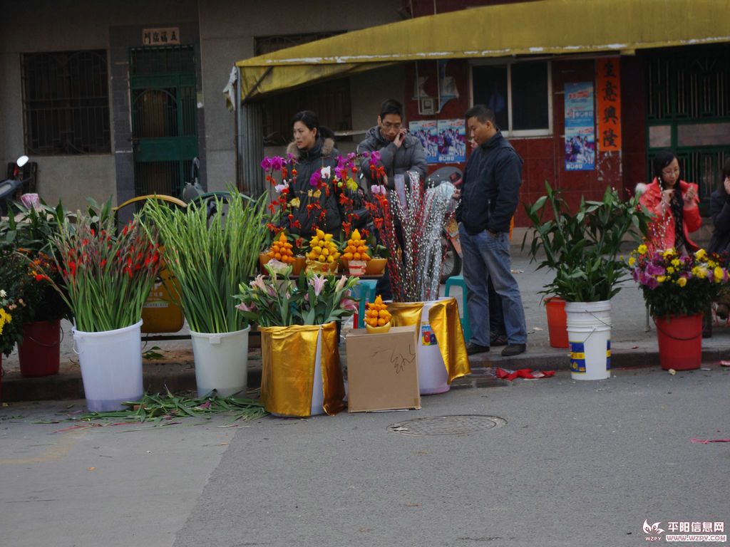 IMGP1014.jpg