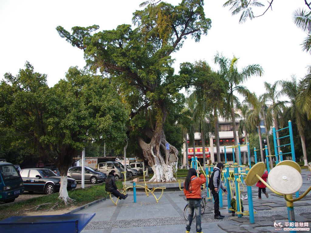 IMGP1035.jpg