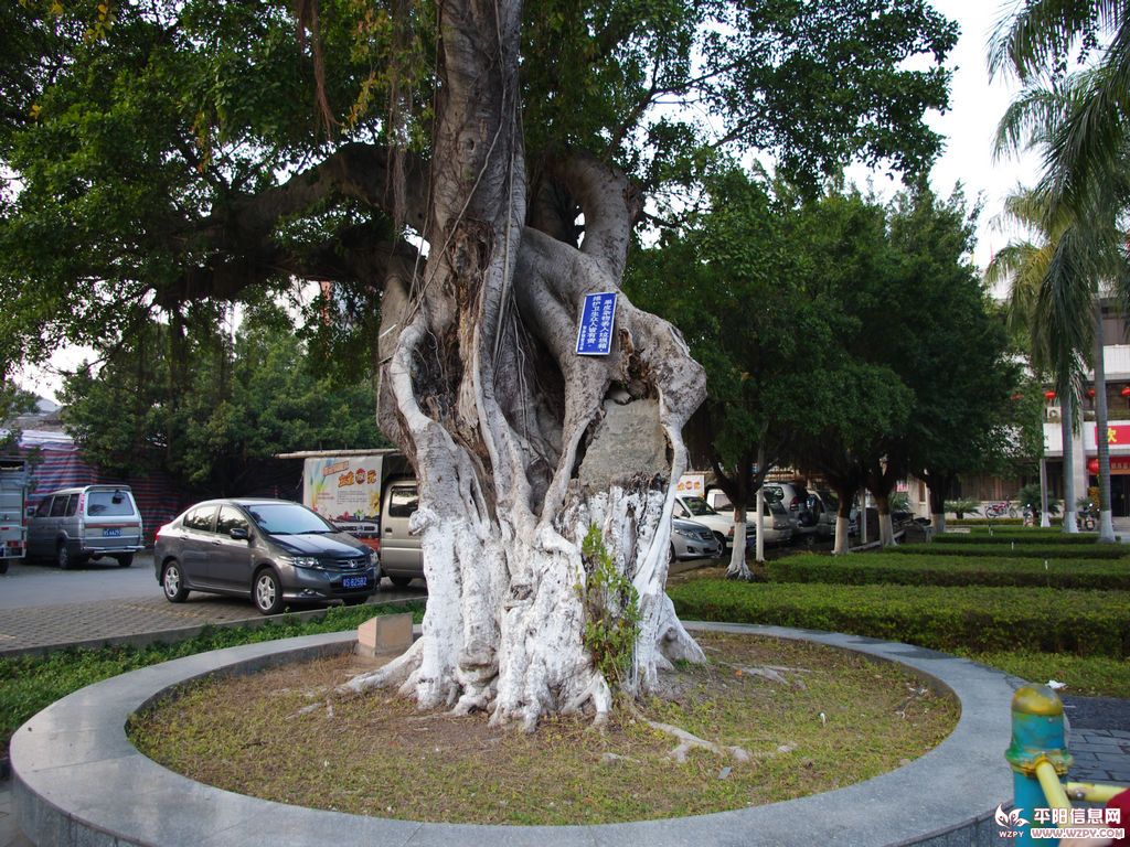 IMGP1036.jpg