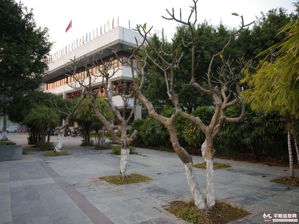 IMGP1061.jpg