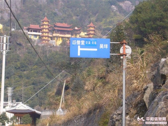 7451.jpg