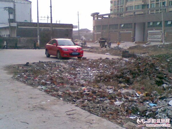 20110223(005).jpg