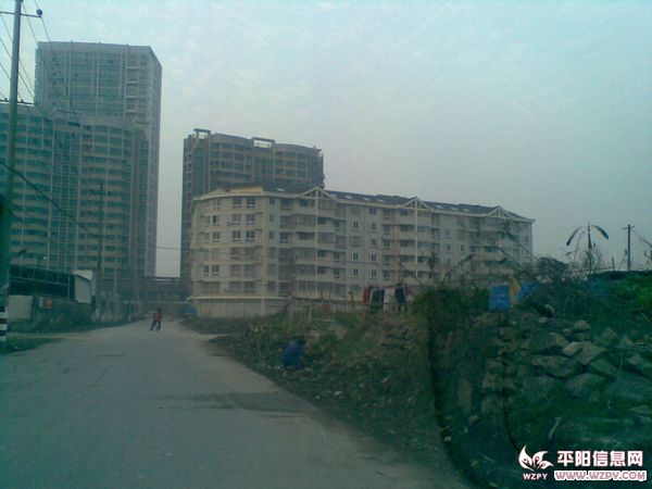 20110223(003).jpg