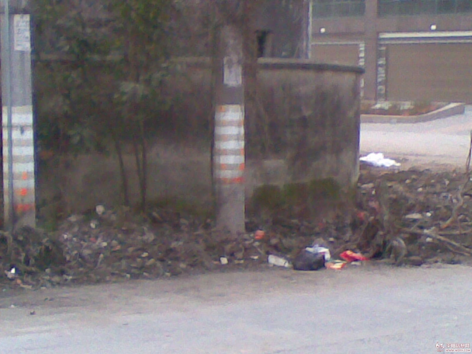 20110223(006).jpg