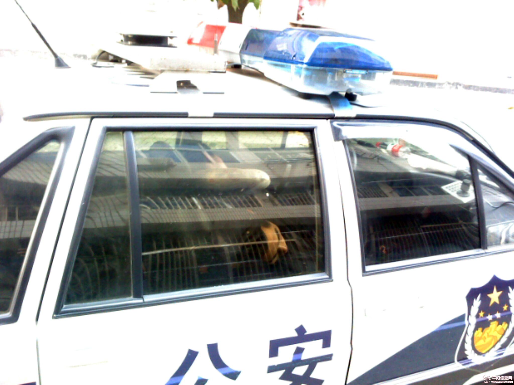 IMG0518A.jpg