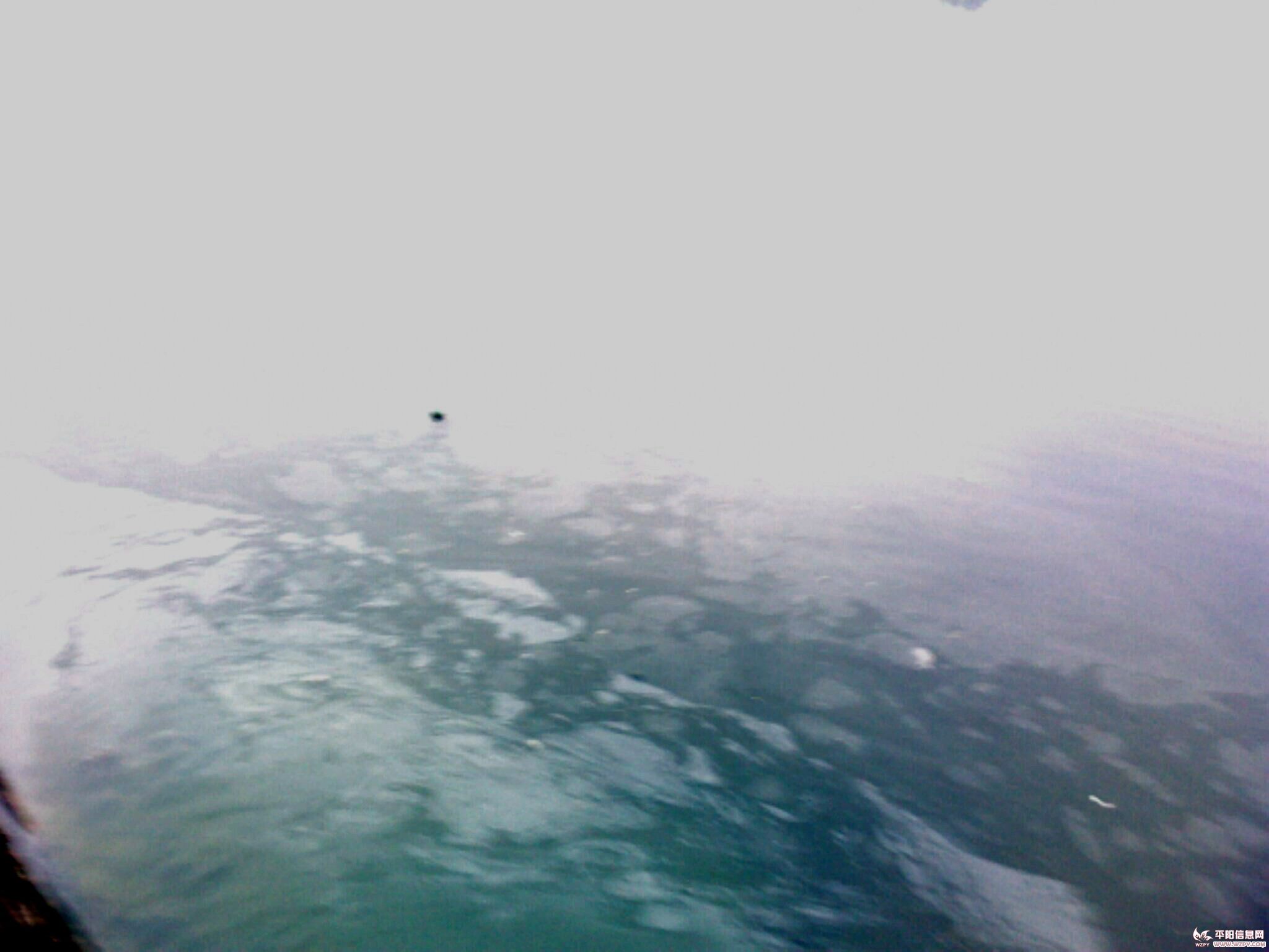 IMG0501A.jpg