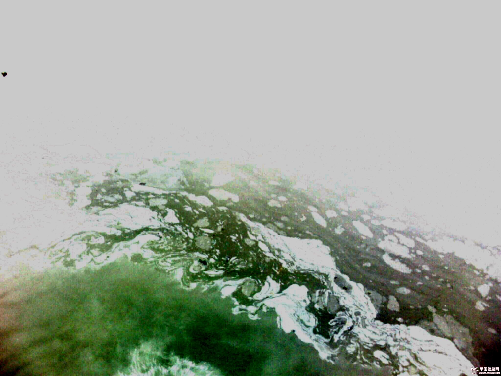 IMG0503A.jpg