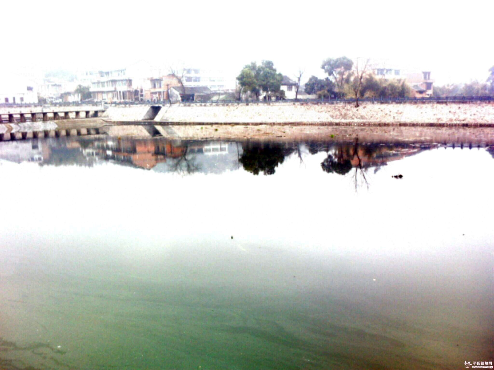 IMG0508A.jpg