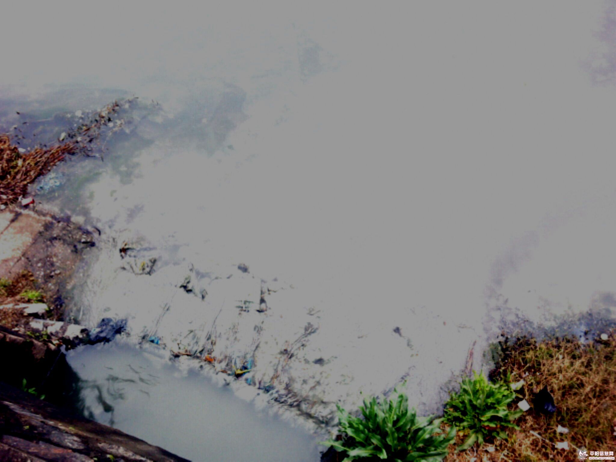 IMG0510A.jpg