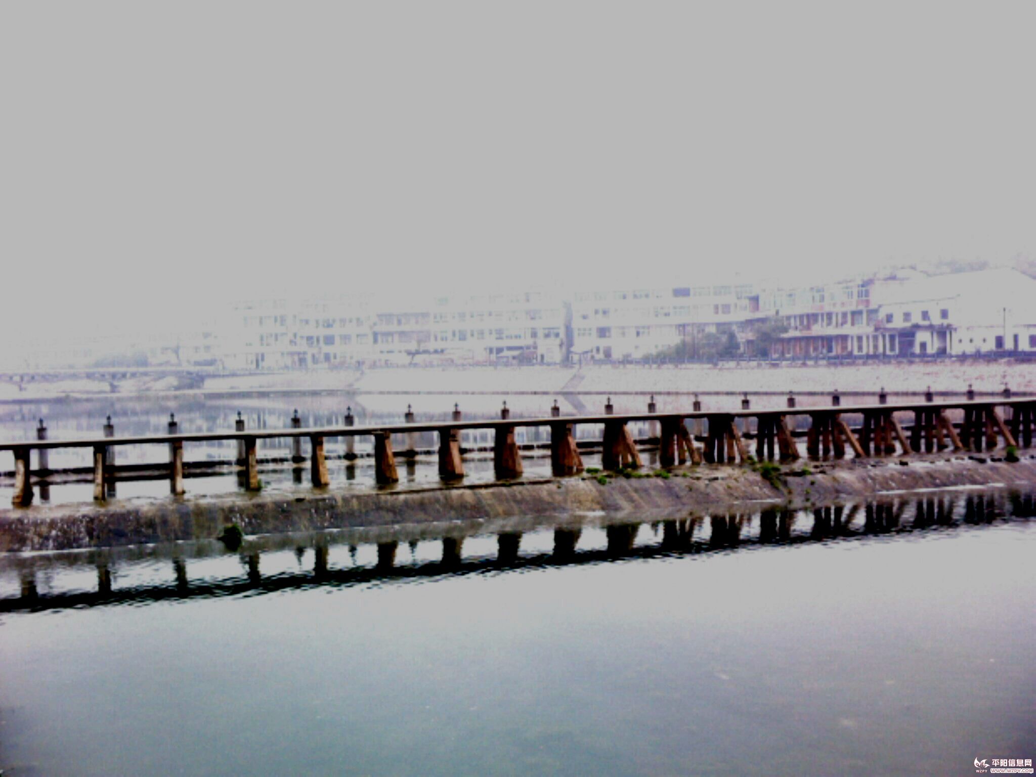 IMG0512A.jpg