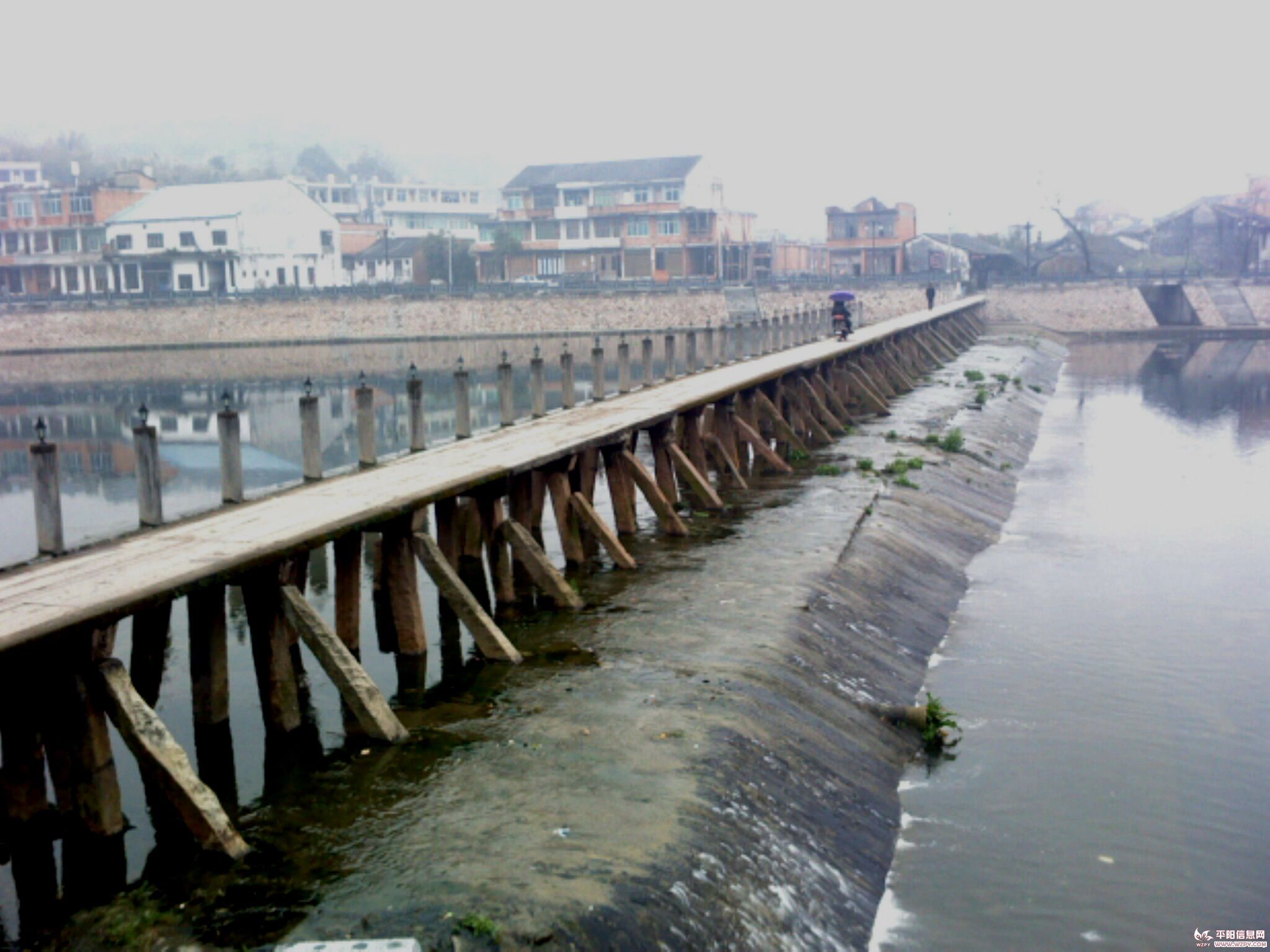 IMG0514A.jpg