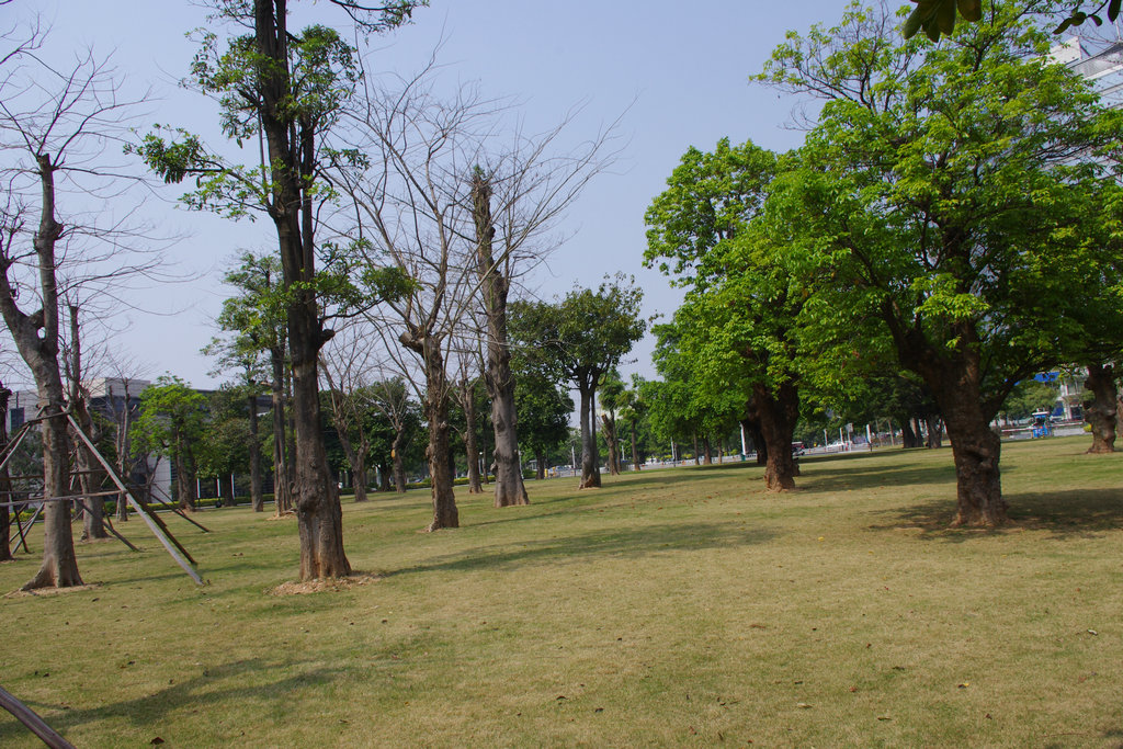 IMGP1523.JPG