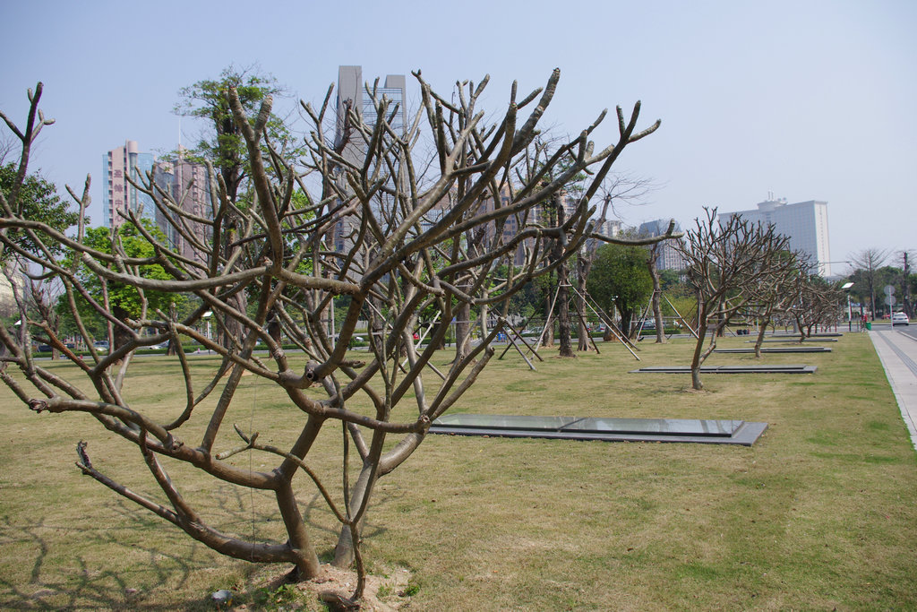 IMGP1527.JPG