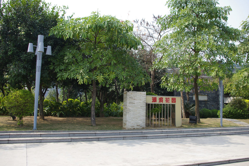 IMGP1577.JPG