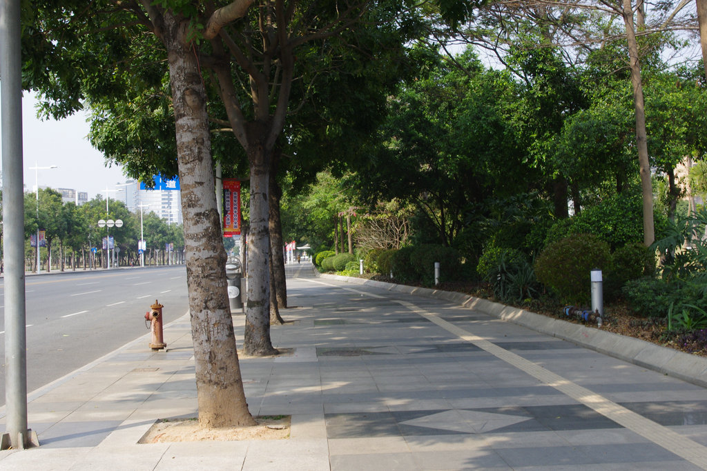 IMGP1591.JPG