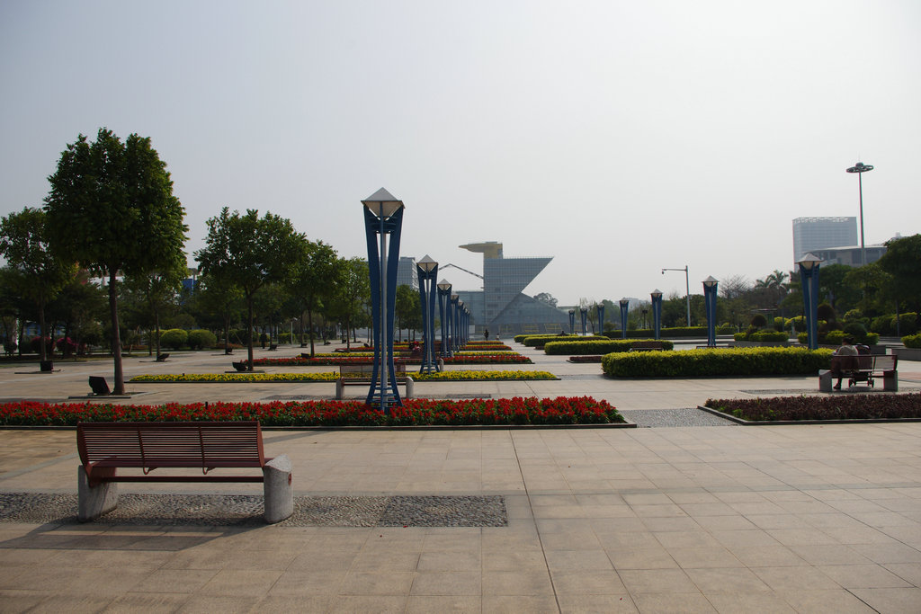 IMGP1575.JPG