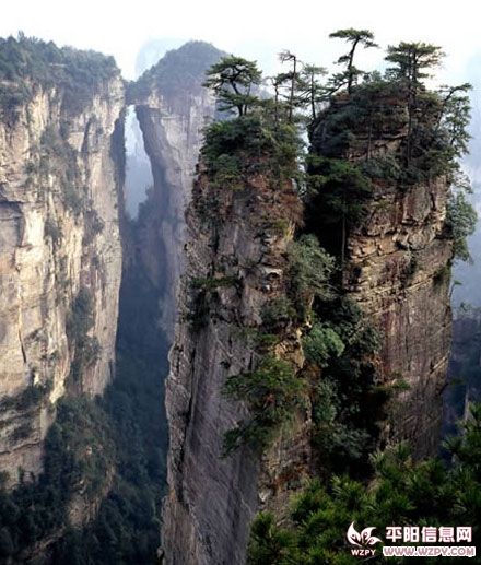 121182073_101n[1].jpg