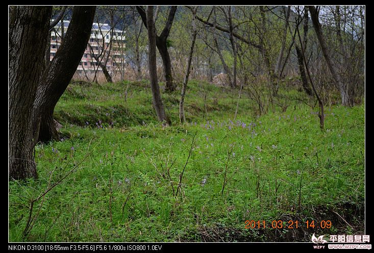 nEO_IMG_DSC_0768.jpg
