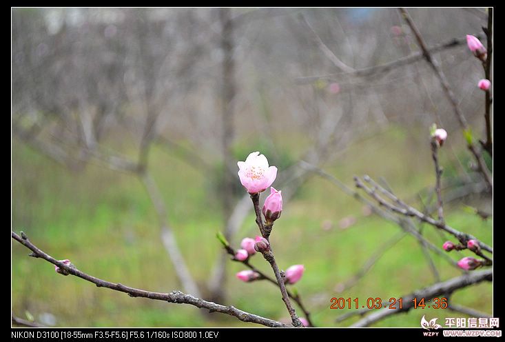 nEO_IMG_DSC_0806.jpg