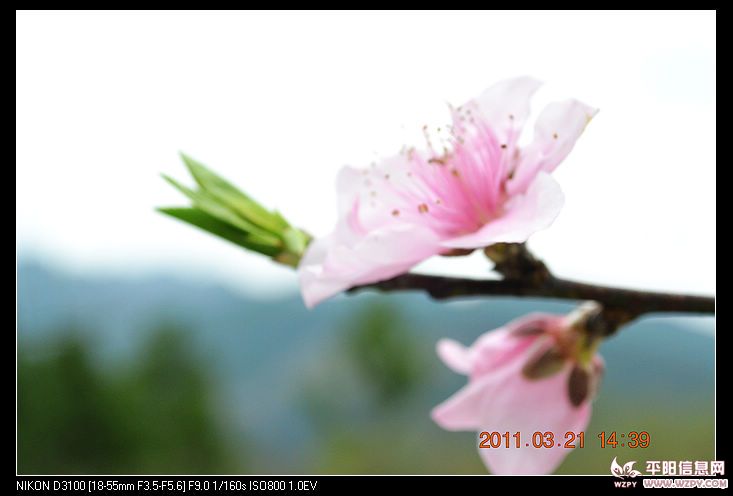 nEO_IMG_DSC_0815.jpg