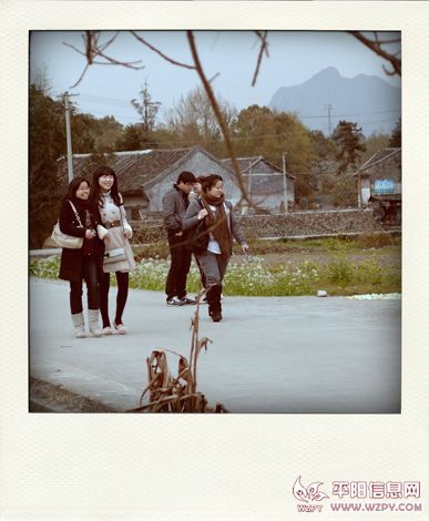 P3260647-pola.jpg