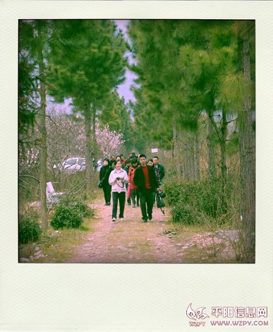 P3260750-pola.jpg