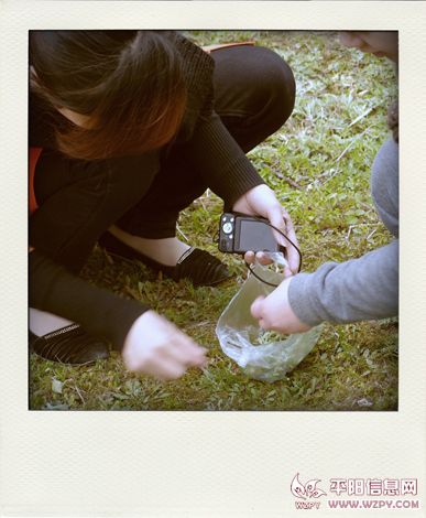 P3260676-pola.jpg