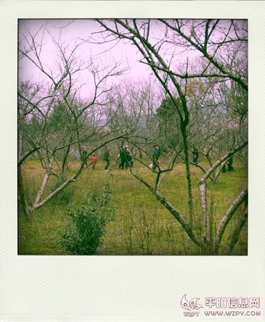P3260746-pola.jpg
