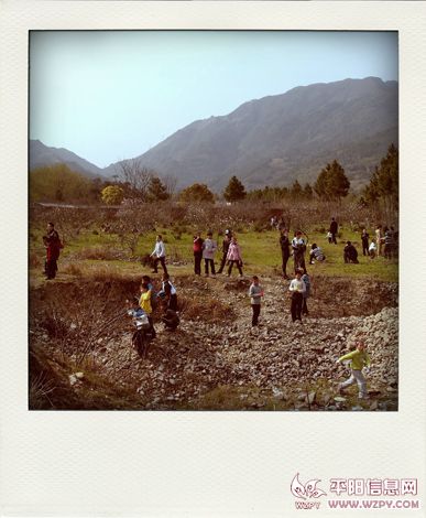 P3260849-pola.jpg