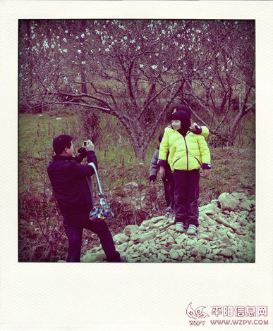 P3260747-pola.jpg