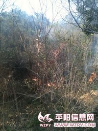 IMG_0241.JPG