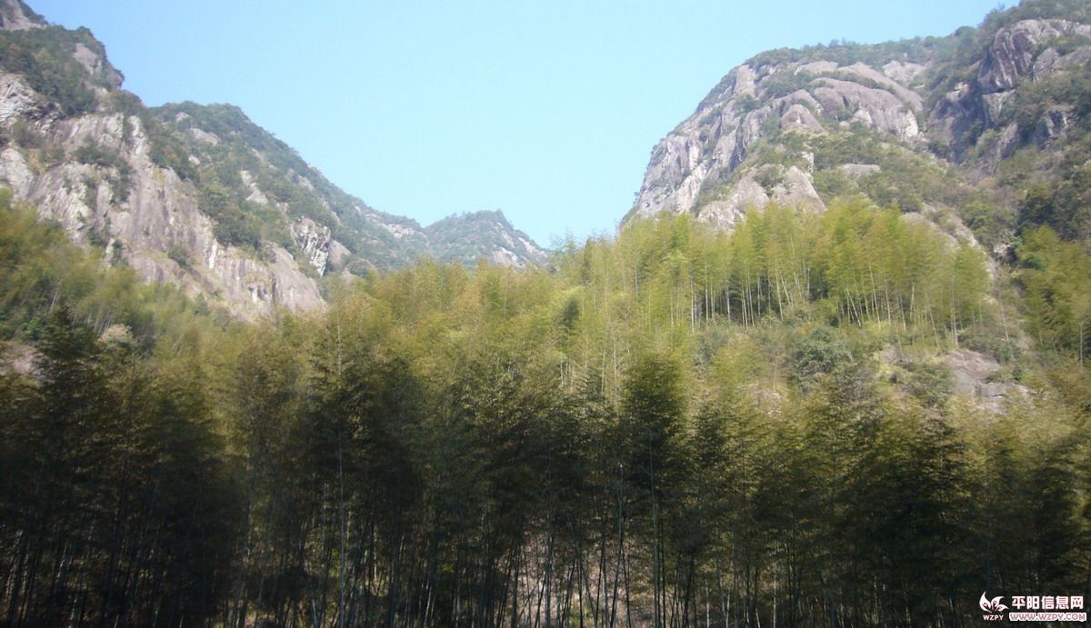 P1070100.jpg