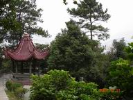 Ƭ 010.jpg