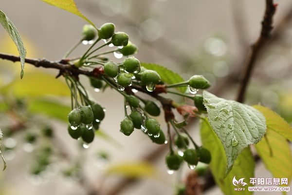 IMG_9563.JPG