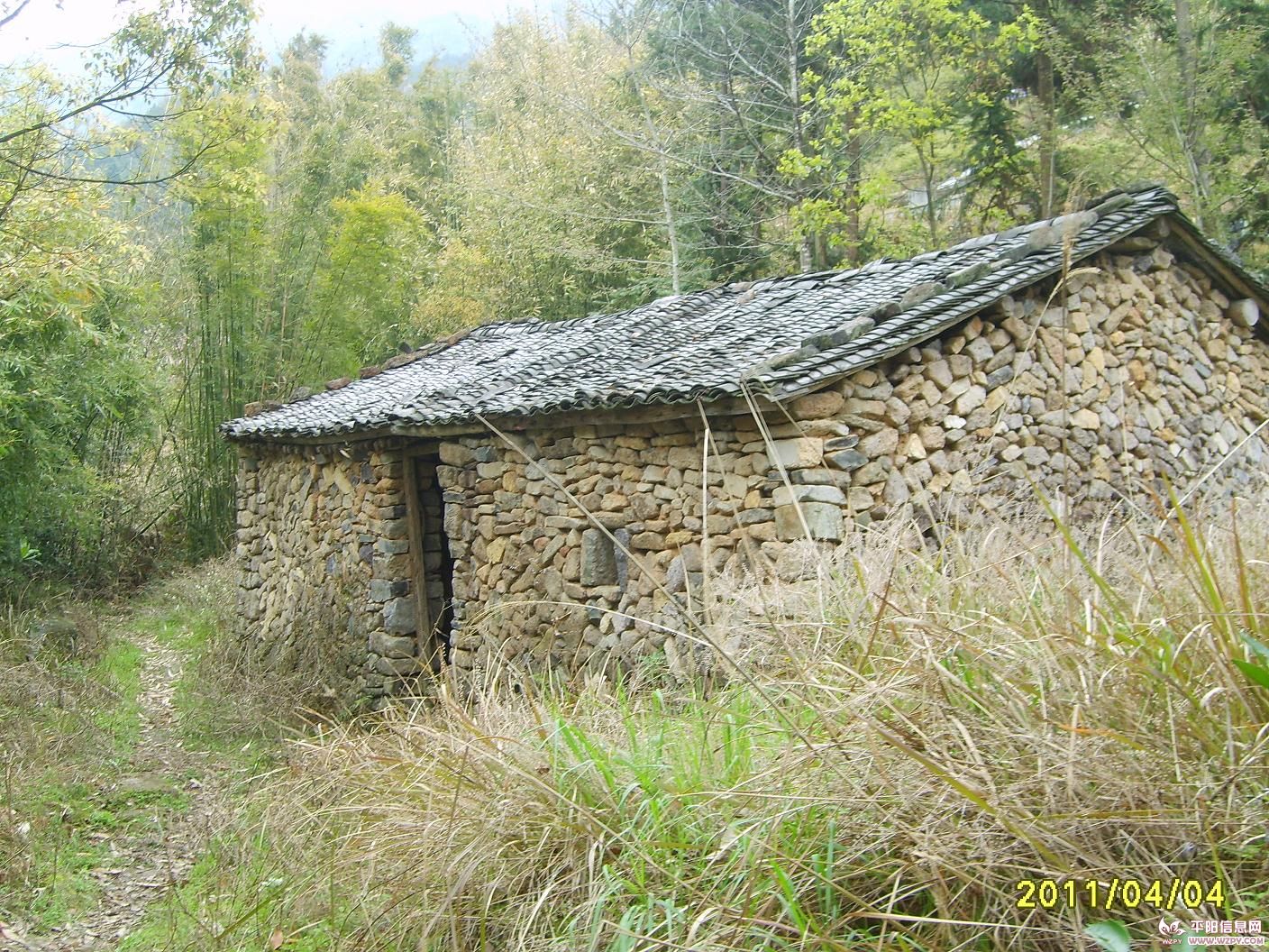 S6003357.JPG