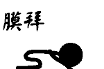 _4481357067125801119.gif