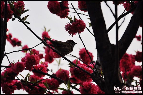 DSC_3407_nEO_IMG.jpg