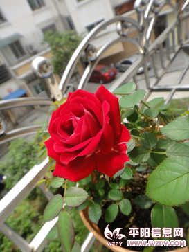 DSC00522.JPG