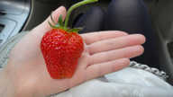 DSC00536.JPG