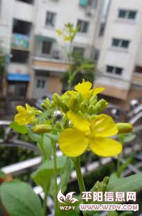 DSC00468.JPG