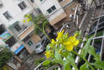 DSC00449.JPG