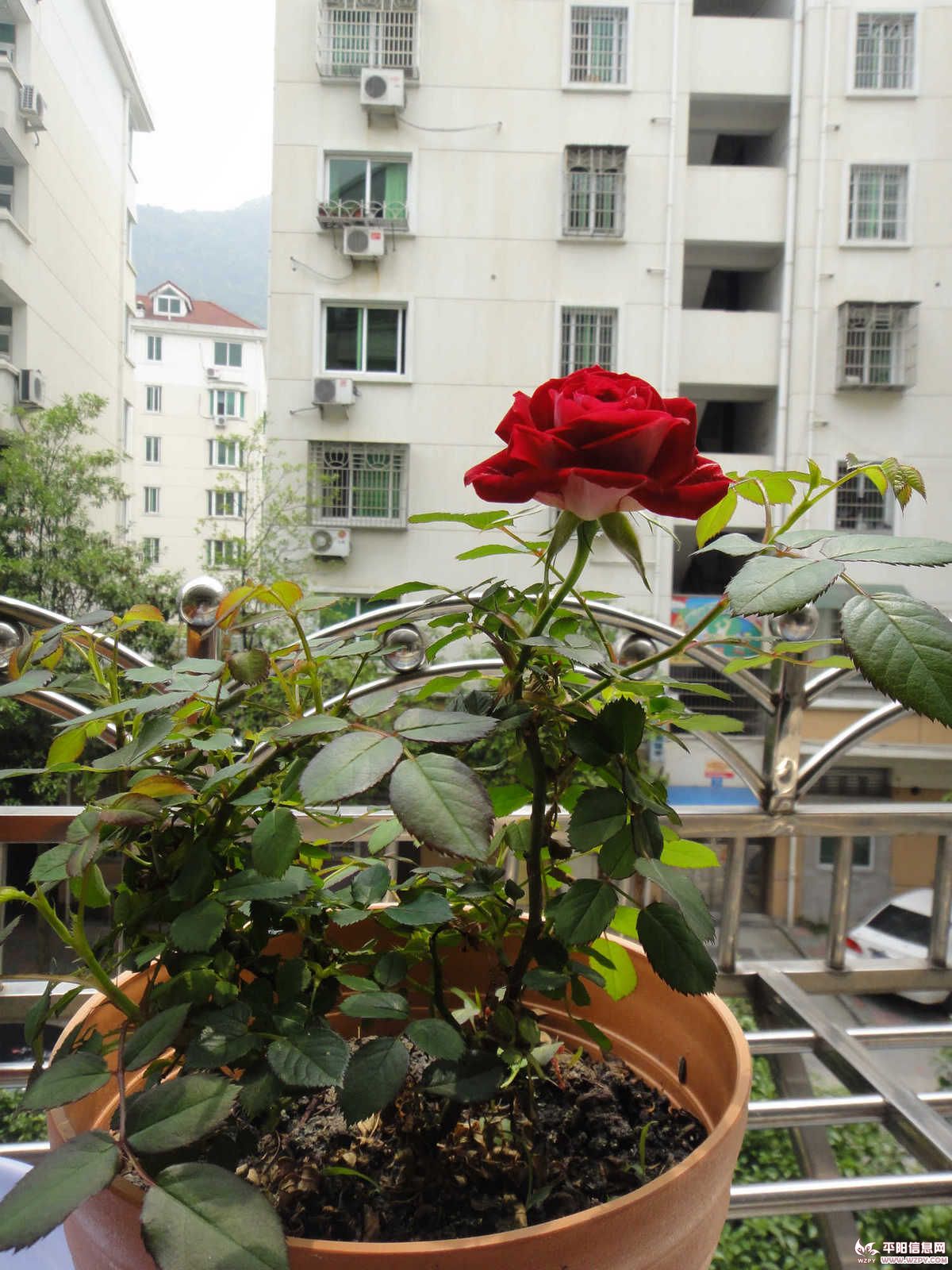 DSC005193.jpg