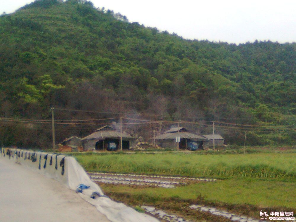 Ƭ0188.jpg
