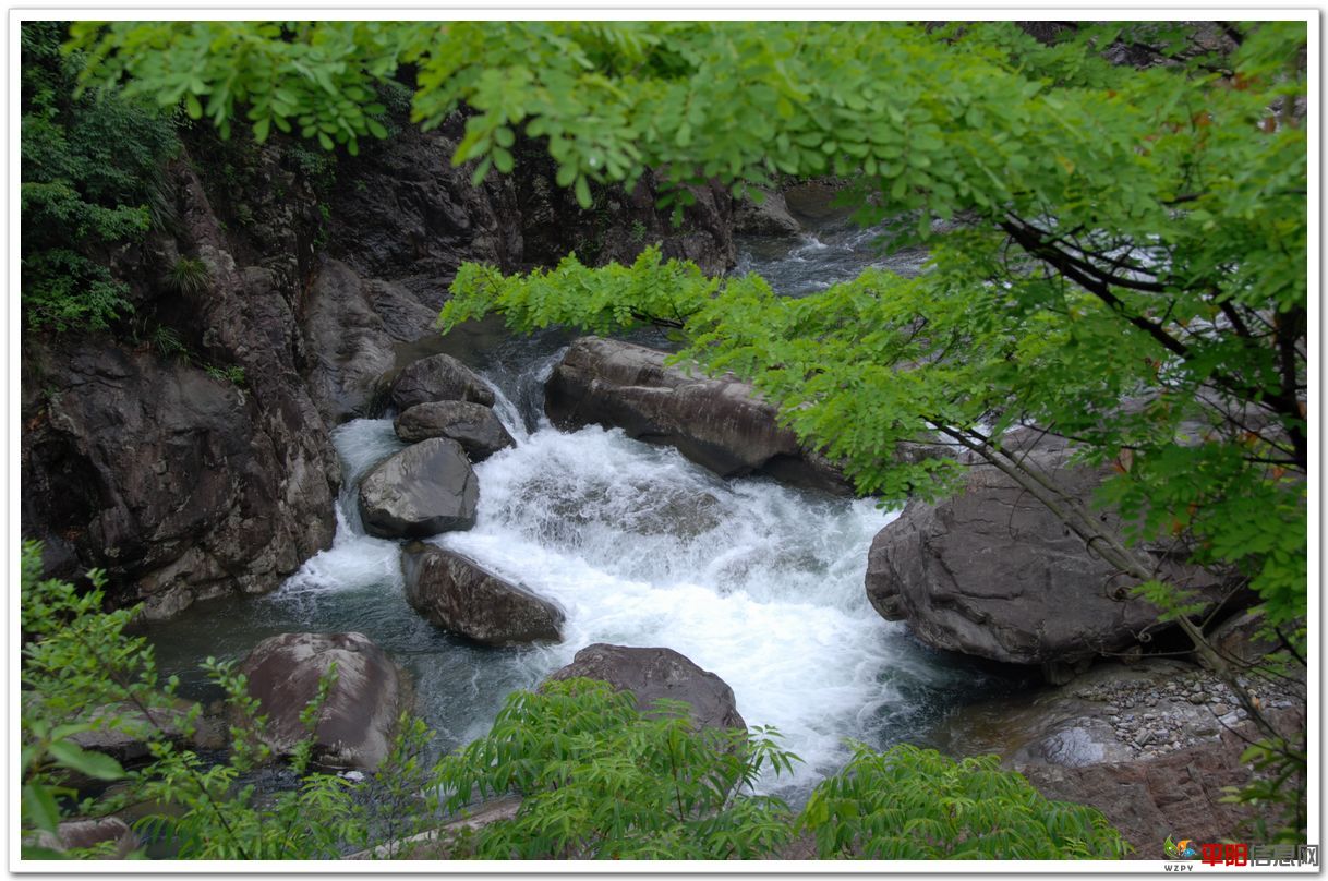 DSC_0117.JPG