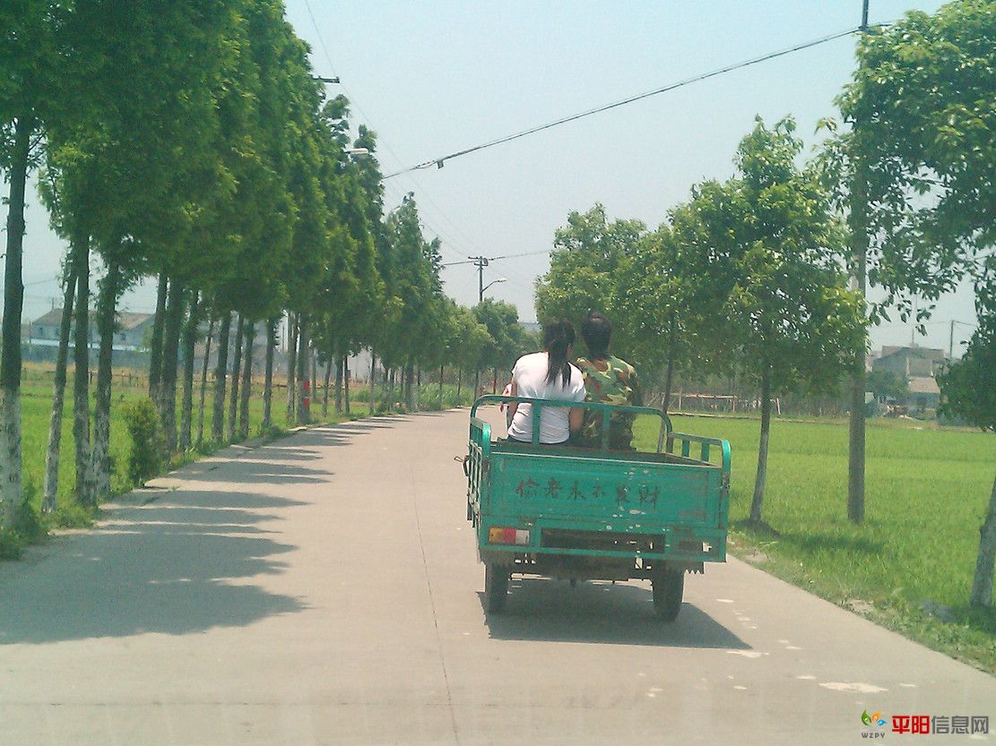 IMAG0050.jpg