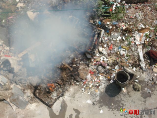 DSC09275.JPG