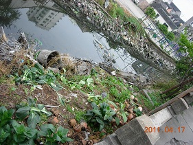 DSCN55581.jpg