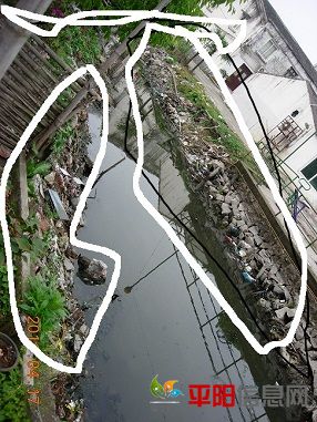 DSCN5556.JPG